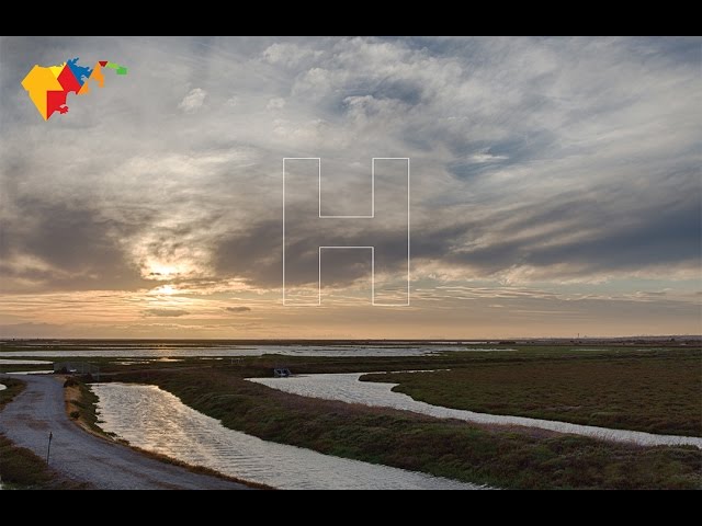 Hayward: Present & Future