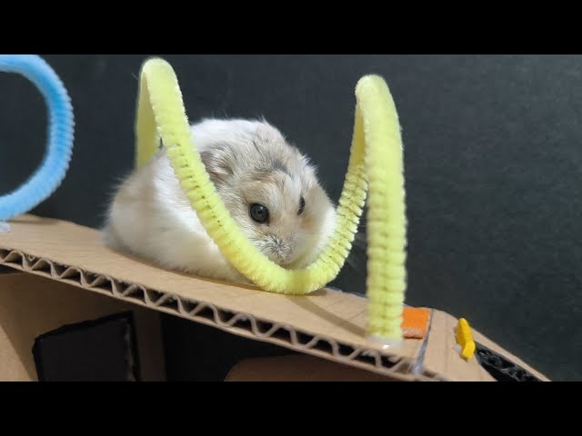 Choose Their Path LIVE! Left or Right? YOU DECIDE 👀