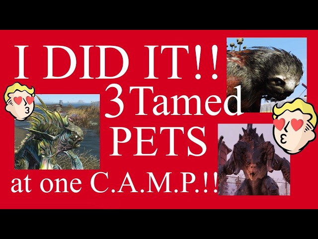 IT IS POSSIBLE!! 3 Tamed Pets at 1 C.A.M.P. Fallout 76 I did it! Now should I make new Guide 4 2026?