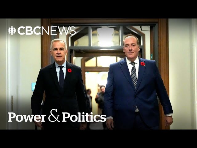 Will more Conservative MPs quit and join the Liberals? | Power & Politics