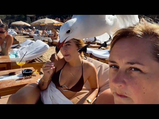 Viral Idiots Compilation | Best Fails of the Week