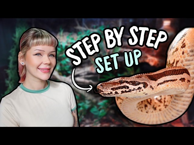 Das EINFACHSTE Gehege für junge Boas...