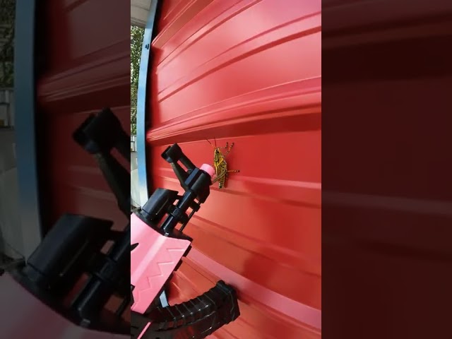 Grasshopper VS Gel Blaster