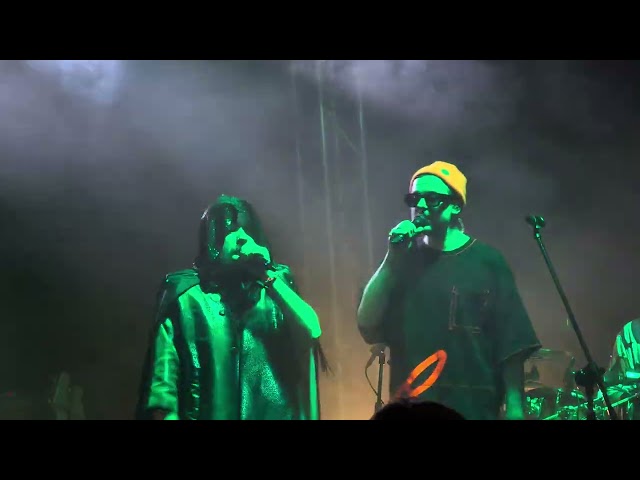 Łąki Łan - 2026.02.28 - Lass - Kwadrat Kraków