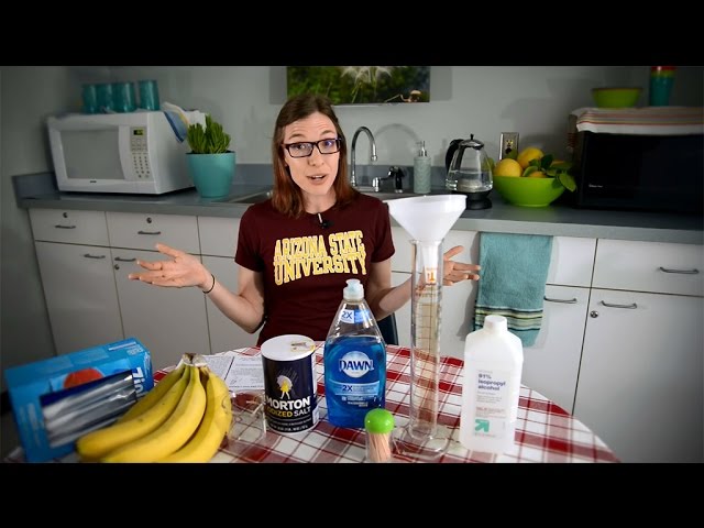 Banana DNA Experiment