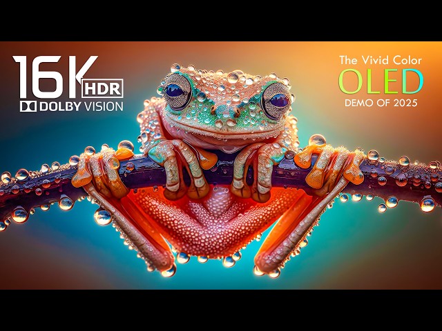 Most Powerful OLED Demo: 16K HDR Dolby Vision (16K Video ULTRA HD)