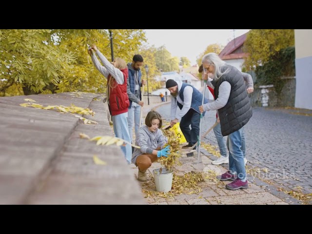 NESARA / GESARA Explained In 3 Minutes!