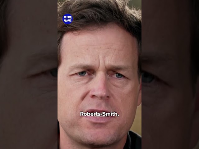 What are the war crime claims being levelled at Ben Roberts-Smith? | 9 News Australia