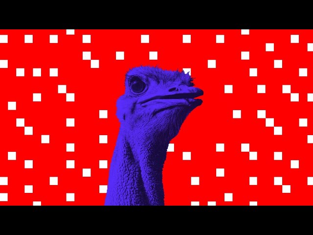 Nostr: The decentralized future of social media?