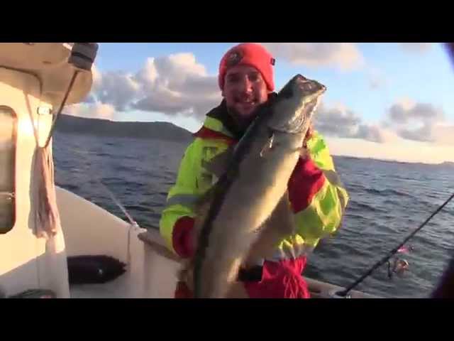 Pollack Drill in der Abendsonne