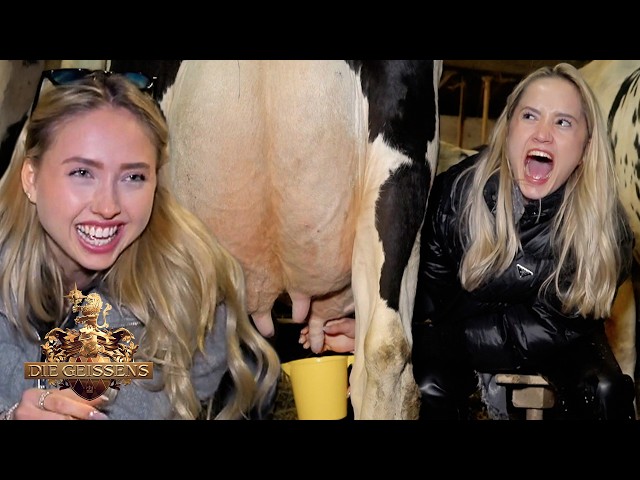 Culture shock in the cowshed: A milk shower for Davina Geiss! 🥛💦 | The Geissens #460