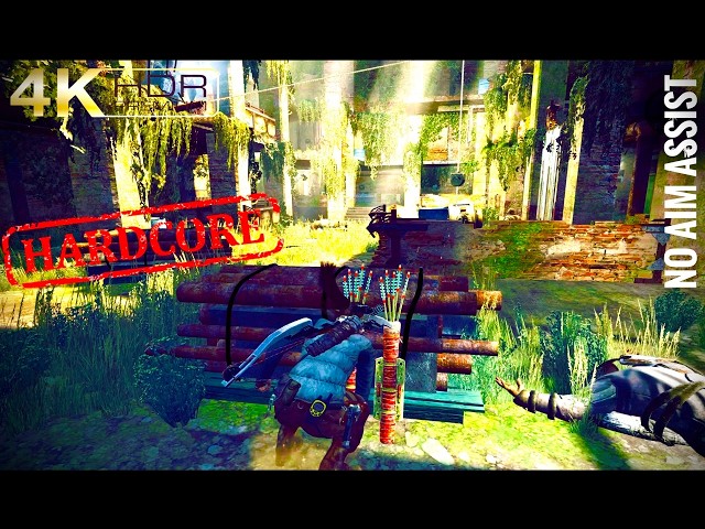 Tomb Raider Reach the Endurance Wreck, gone missing