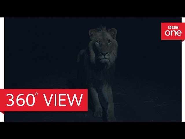 Africa at night 360° - Planet Earth II: Grasslands - BBC