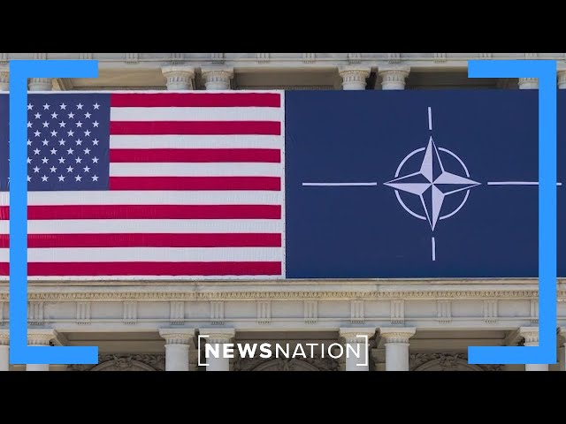 What is NATO’s role as the war in Iran continues? | Jesse Weber Live
