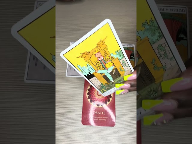 She UNDEFEATED! She Dont Care Who Doesn’t Want To See Her Win‼️