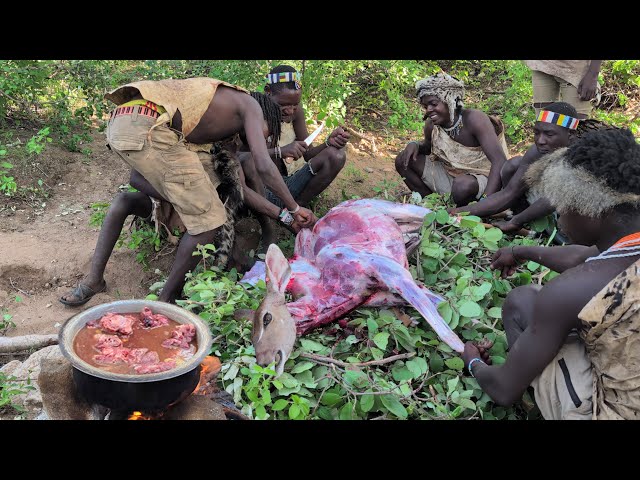  Into the wild with the Hadzabe Tribe: hunting, gathering and surviving in Africa’s untouched forest