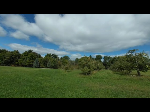 VR180 Eddy Fruit Farm