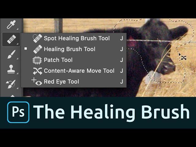 How to Use the Healing Brush Tool in Photoshop