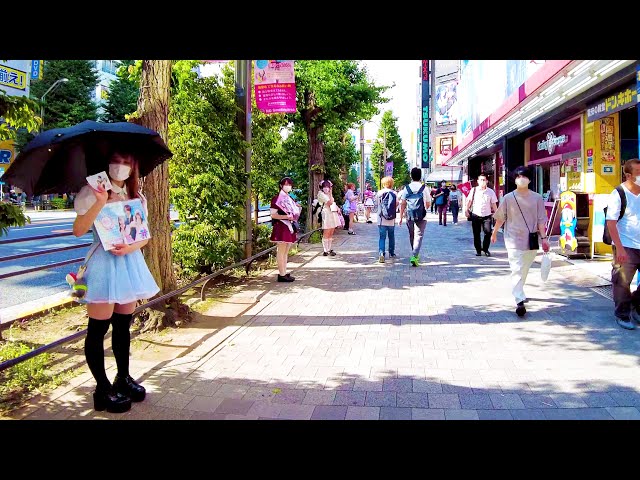 [Akihabara Walk in Tokyo] Cosplay Town ♪ (4K ASMR non-stop 1 hour 06 minutes)