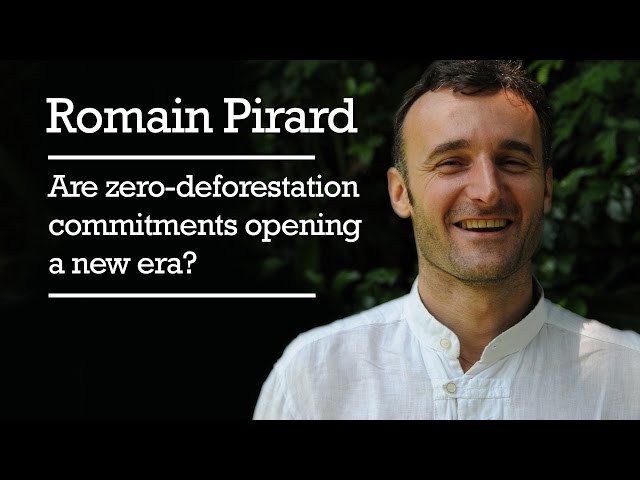 Romain Pirard - Are zero-deforestation commitments opening a new era?