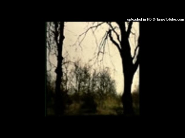 DJ DR4GM4SHROOM - BLACK BEATLES JUMPSTYLE REMIX