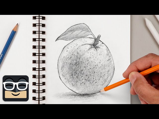 How to Draw a Realistic Orange | Step by Step Sketch Tutorial