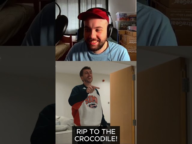 MINIMINTER STABS CALLUX'S PET!