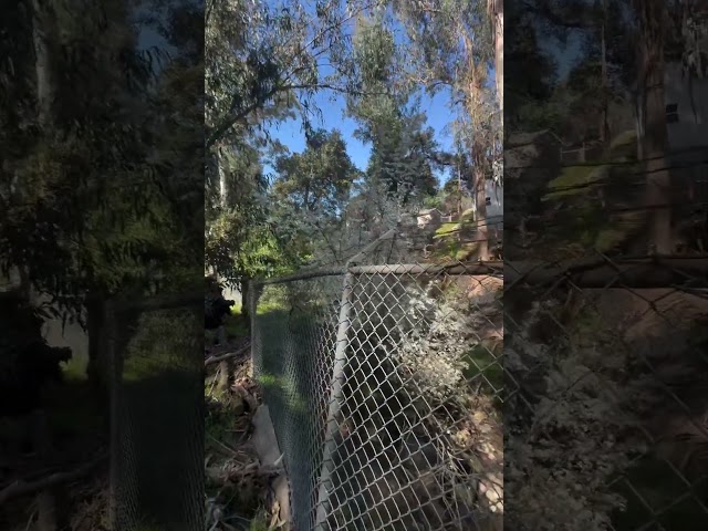 The nature ￼ beauty of Hayward #travel #foryou #beautiful ￼