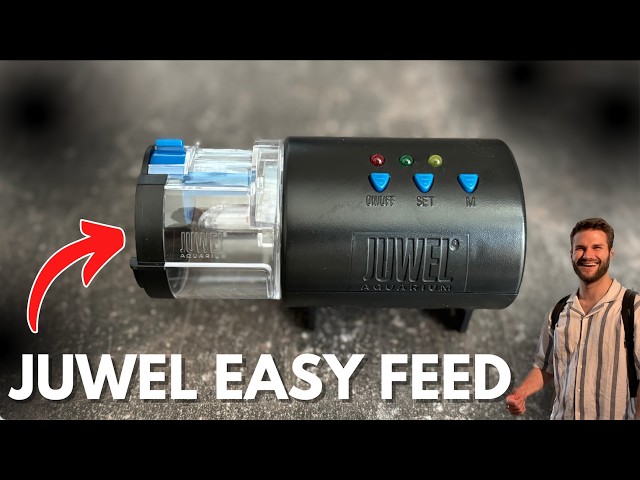 Juwel Easy Feed How To Use & Set Up - Automatic Fish Feeder Review