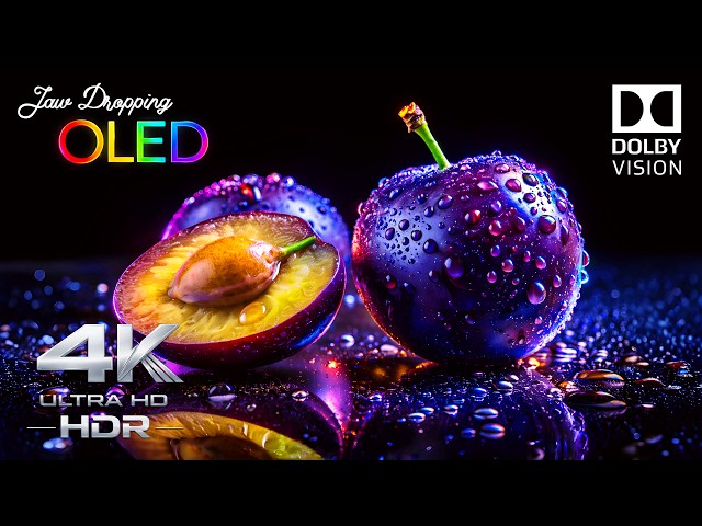 JAW-DROPPING OLED Demo | Dolby Vision 4K HDR 240FPS Ultra HD (4K TV Test)