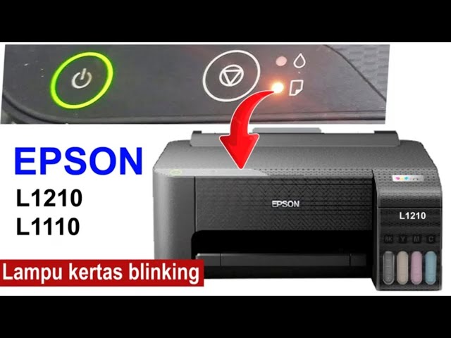 Fix Epson L1210 Printer ERROR, Paper Light Blinking