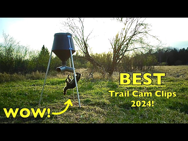 THE BEST Trail Cam Videos of the Year! (2024) | The Outdoor Theater