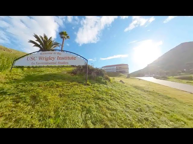 Black Soldier Flies: Fighting Food Waste