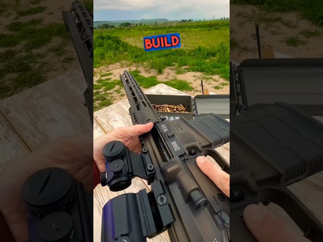 Diamond Back AR-10: Full Podcast In Description ➡️ #gun #civtac #military