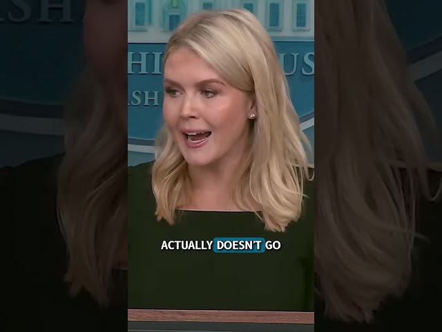 Joy Behar Makes Ridiculous Claim About Trump