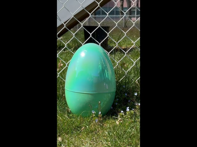 Spring into Clear Skin 🌷🐰💐🐣