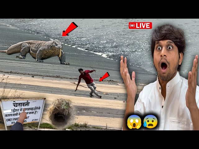 😲 Real Junglee Dragon Lizard Pakar Liye? Etni Pass Se 😱🥵 Lekin...