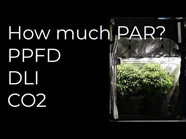 Best PAR intensity for plants | PPFD | DLI | CO2