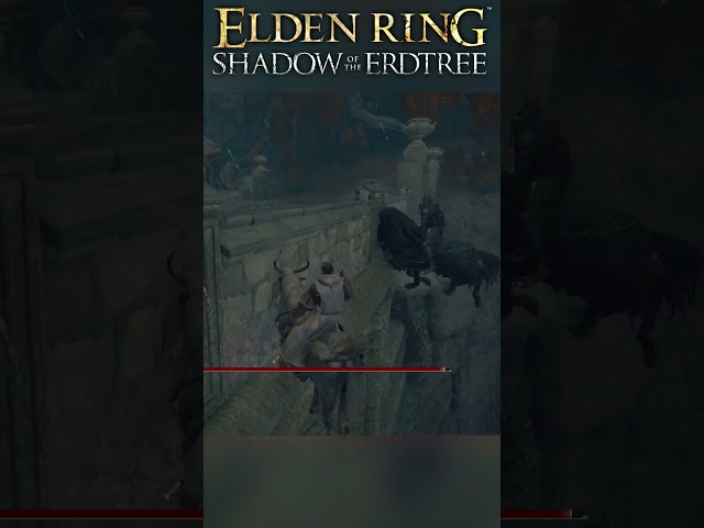 Teleportation #eldenringshadowoftheerdtree  #eldenringgameplay #eldenring #eldenring #fromsoftware