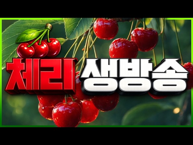 [ 파워볼 실시간 ] 체리 입니다