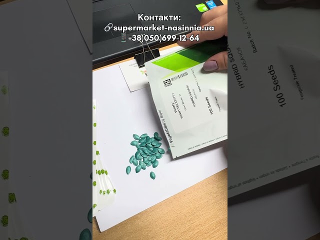 ☀️ The sun in the garden - Sani Delight F1!