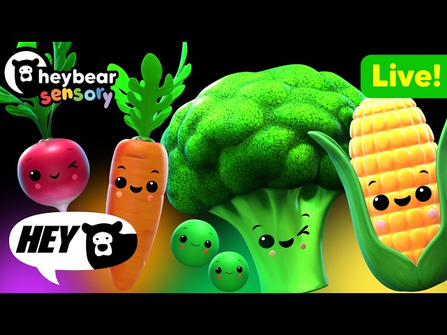 Hey Bear Sensory - Funky Veggies Live! Dance Party!