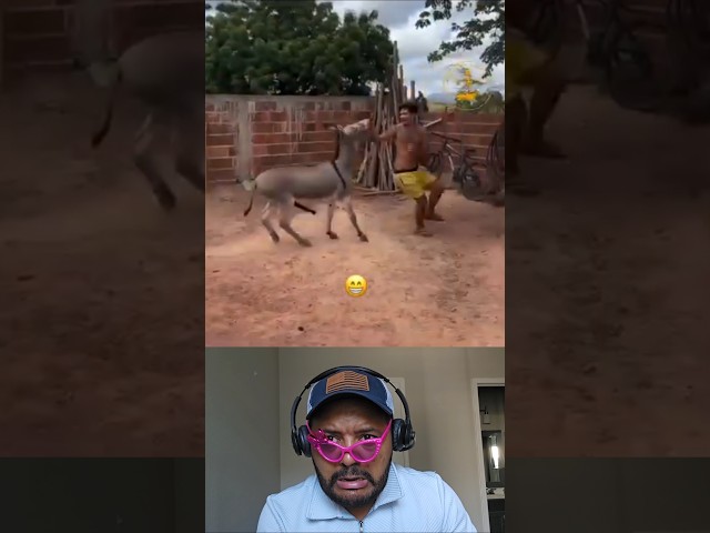 cuando hasta el burro quiere contigo #funny #humor #parati #gracioso