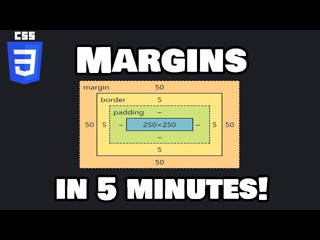 Learn CSS margins in 5 minutes! ↔️