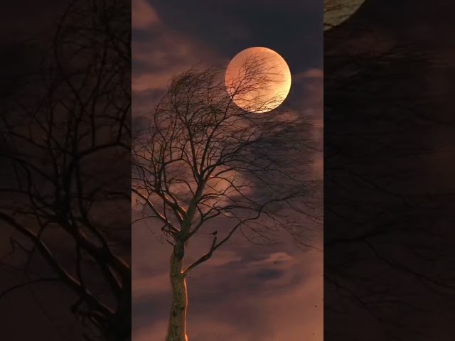 Emotional Flute Music | Non Copyright Free Sounds #Shorts