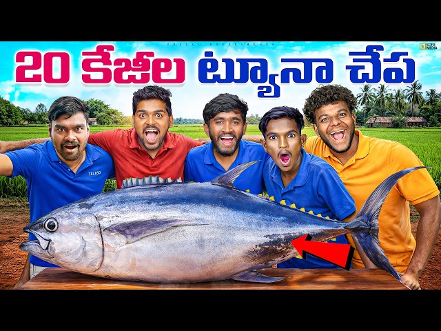 20 KG Tuna Fish Curry చేసాము - 100% Unbelievable Taste 😍🔥 Telugu Experiments