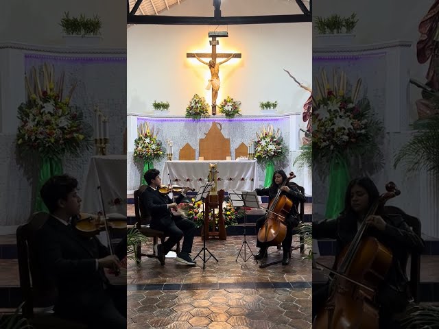 Bach/Gounod - Ave María Arranged by David Estupiñán | Solemnis Duo