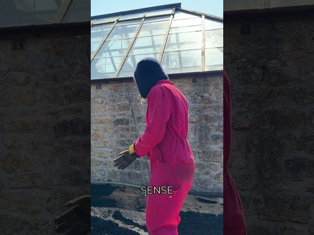 Sweet Pea Planting Fun: Success & Surprise Blooms! #shorts