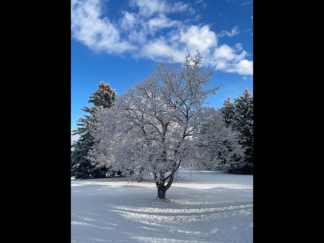 Spring storm to bring widespread snowfall to the area; Winter Storm Warnings, Advisories