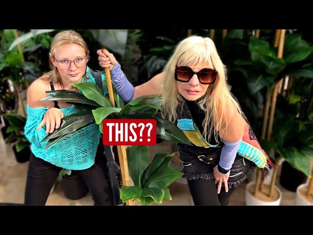 Lee and Angie … Don’t Ask 😂